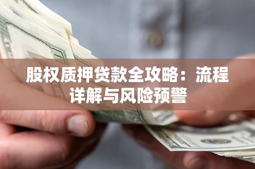 北京股权质押贷款全攻略：流程详解与风险预警