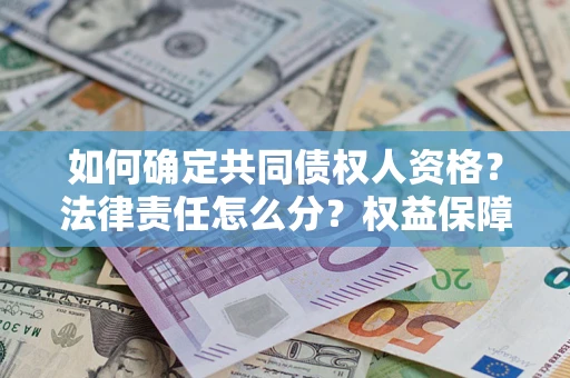 北京如何确定共同债权人资格？法律责任怎么分？权益保障技巧揭秘！