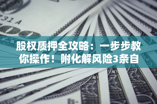 北京股权质押全攻略：一步步教你操作！附化解风险3条自救法则