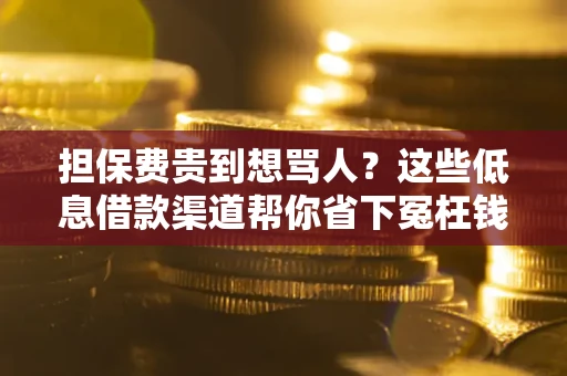 北京担保费贵到想骂人？这些低息借款渠道帮你省下冤枉钱