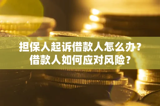 北京担保人起诉借款人怎么办？借款人如何应对风险？