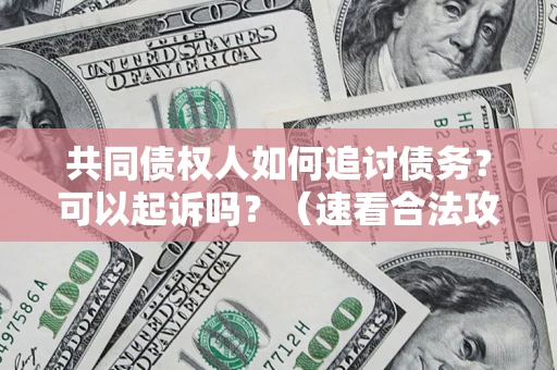 北京共同债权人如何追讨债务？可以起诉吗？（速看合法攻略）