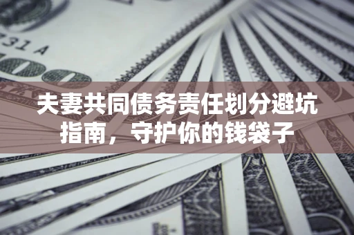 北京夫妻共同债务责任划分避坑指南，守护你的钱袋子