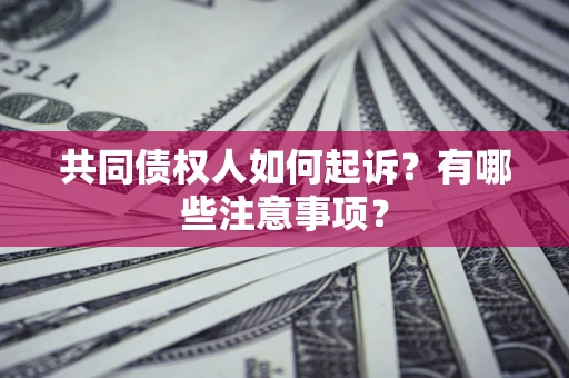 北京共同债权人如何起诉？有哪些注意事项？